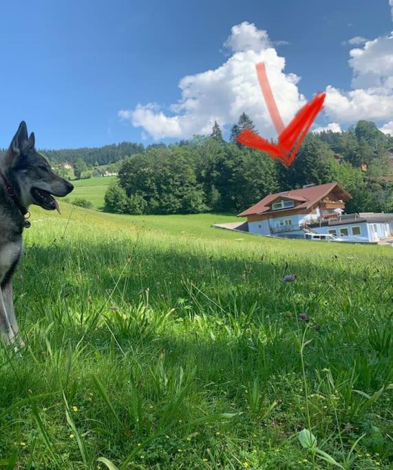 Urlaub Mit Hund Im Salzburger Land Διαμέρισμα Wegscheid Εξωτερικό φωτογραφία
