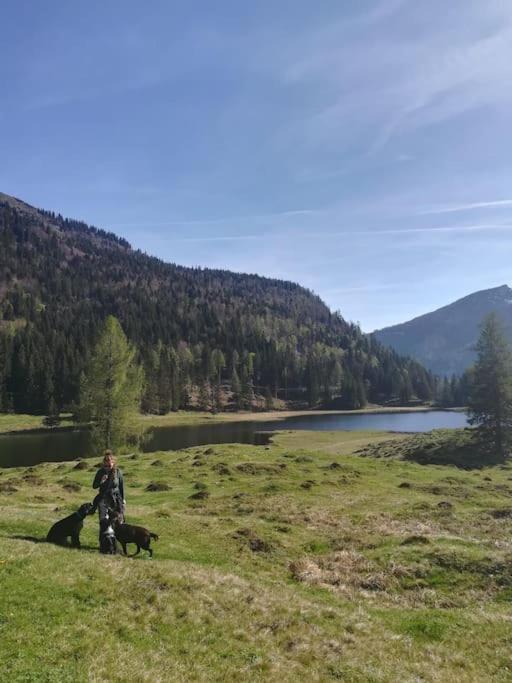 Urlaub Mit Hund Im Salzburger Land Διαμέρισμα Wegscheid Εξωτερικό φωτογραφία